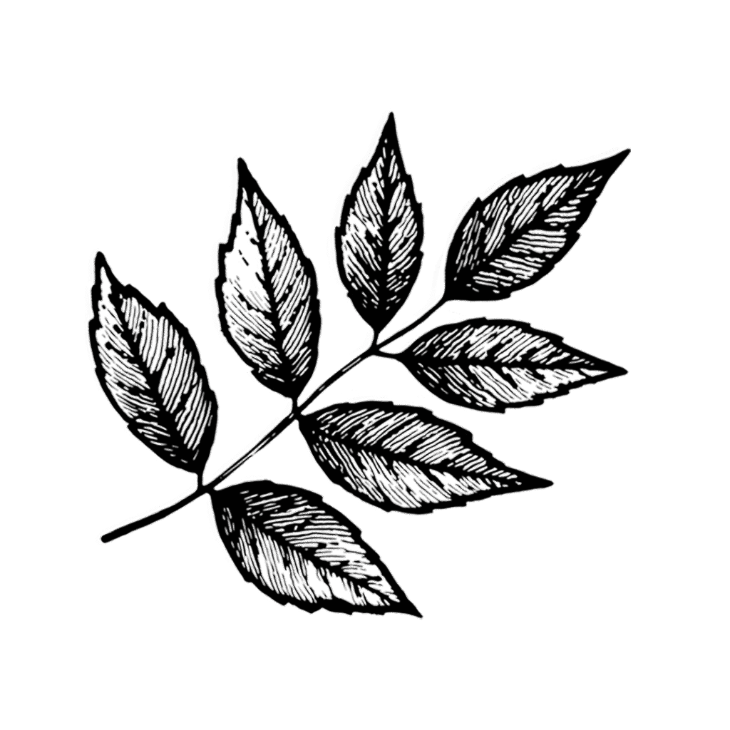 Handmade Chairs Home