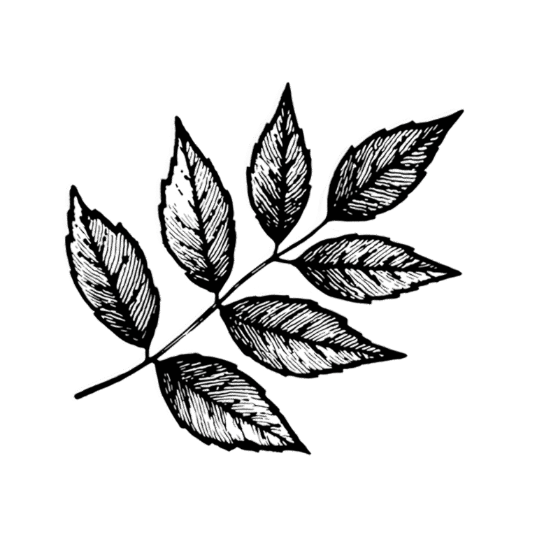 Handmade Chairs Home