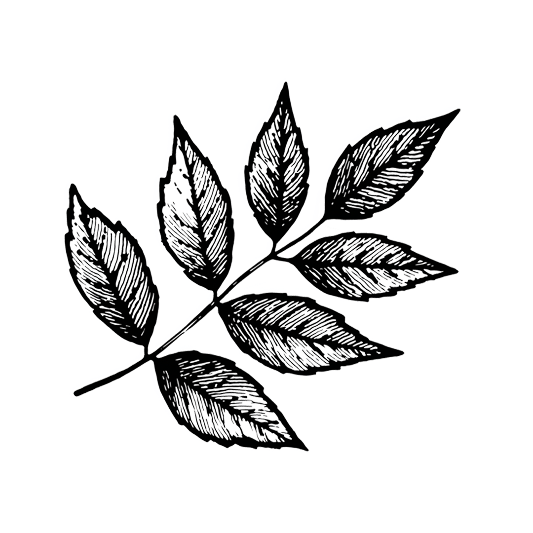 Handmade Chairs Home