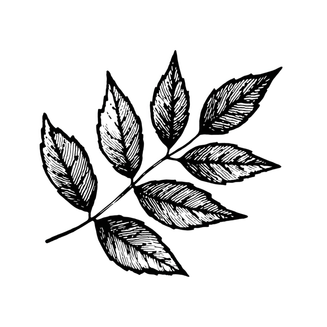 Handmade Chairs Home